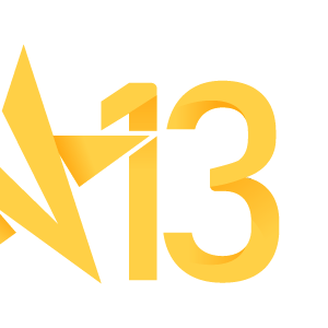 Fundraising Page: 2013